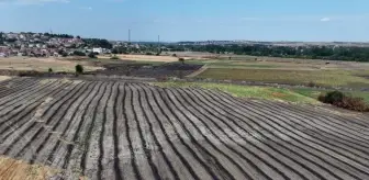 Anız yakmak canlı yaşamını yok ederek toprağa zarar veriyor