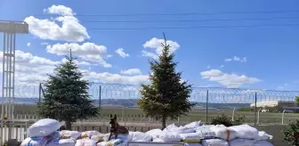 Ankara'da 6 Ton Kaçak Tütün Ele Geçirildi