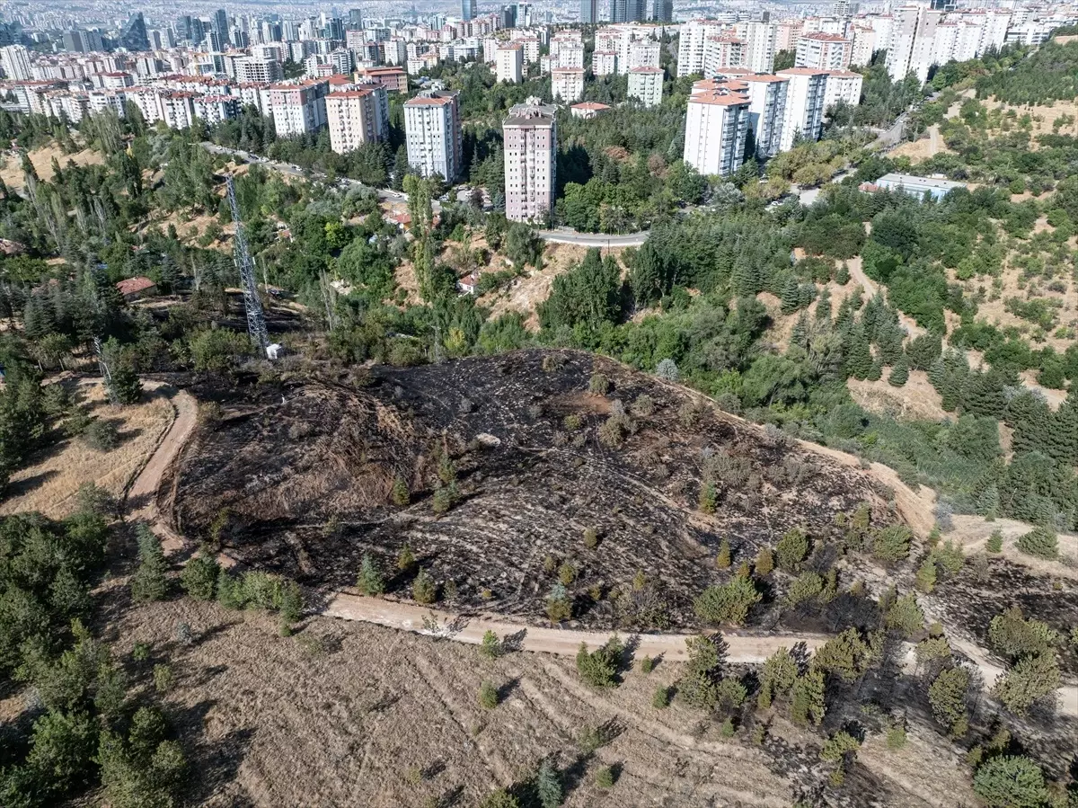 Çankaya'da Çalılık Alanda Yangın Kontrol Altına Alındı