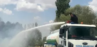 Ankara'dan kısa kısa