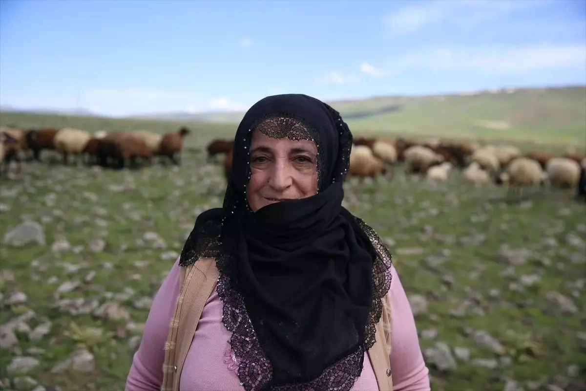 Kız ve Anne, Devlet Desteğiyle Hayvancılığa Yöneldi