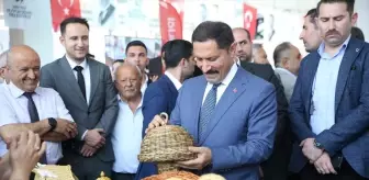 Hatay'da Hayat Boyu Öğrenme Haftası Etkinlikleri