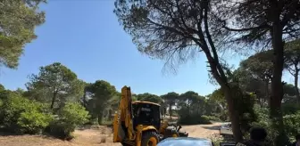 Kayıp Eşini Öldürmekten Tutuklandı