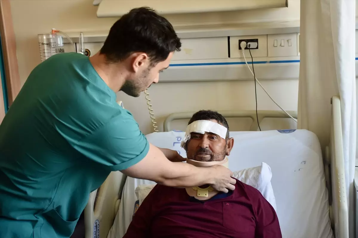 Aslan Saldırısında Yaralanan Çoban Taburcu Oldu