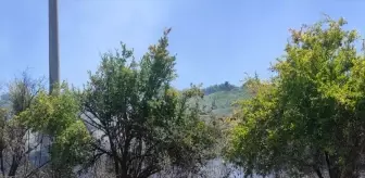 Antalya'da Çalılık Alanda Başlayan Yangın Nar Bahçesine Sıçradı