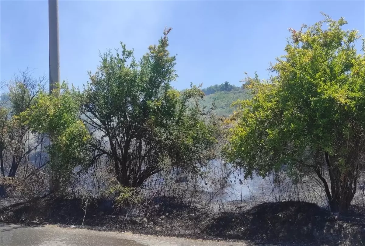 Antalya'da Çalılık Alanda Başlayan Yangın Nar Bahçesine Sıçradı