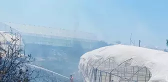 Antalya'da Çalılık Alanda Çıkan Yangın Seralara Sıçradı