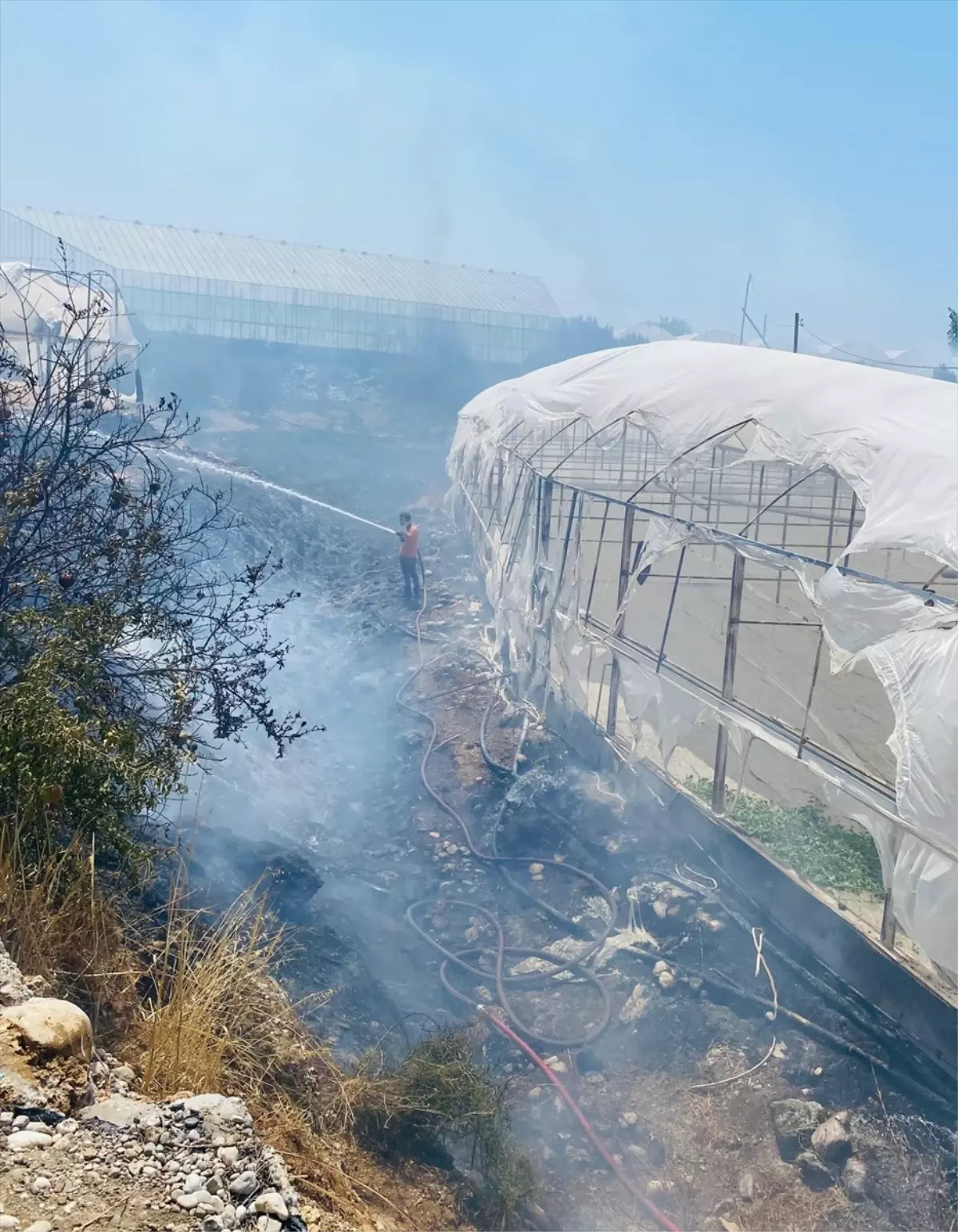 Antalya'da Çalılık Alanda Çıkan Yangın Seralara Sıçradı