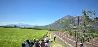 Akdeniz Üniversitesi'nden Cezaevlerindeki Mahkumlara Organik Tarım Eğitimi