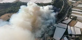Antalya'da Orman Yangınına Müdahale Ediliyor