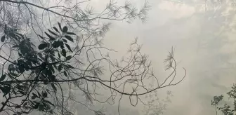 Manavgat'ta Orman Yangını Kontrol Altına Alındı