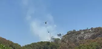 Antalya Gazipaşa'da Orman Yangını Söndürüldü