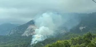 Kumluca'da Orman Yangını Kontrol Altına Alındı