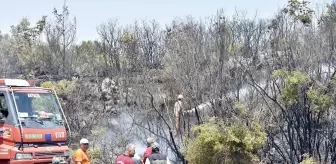 Antalya'da Orman Yangını: İki Kişi Yaralandı