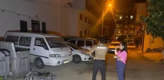 Antalya'da Çöp Konteynerinde Yanmış Köpek Ölüsü Bulundu