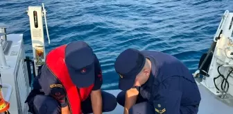Manavgat'ta Çuvala Sıkışan Yeşil Deniz Kaplumbağası Kurtarıldı