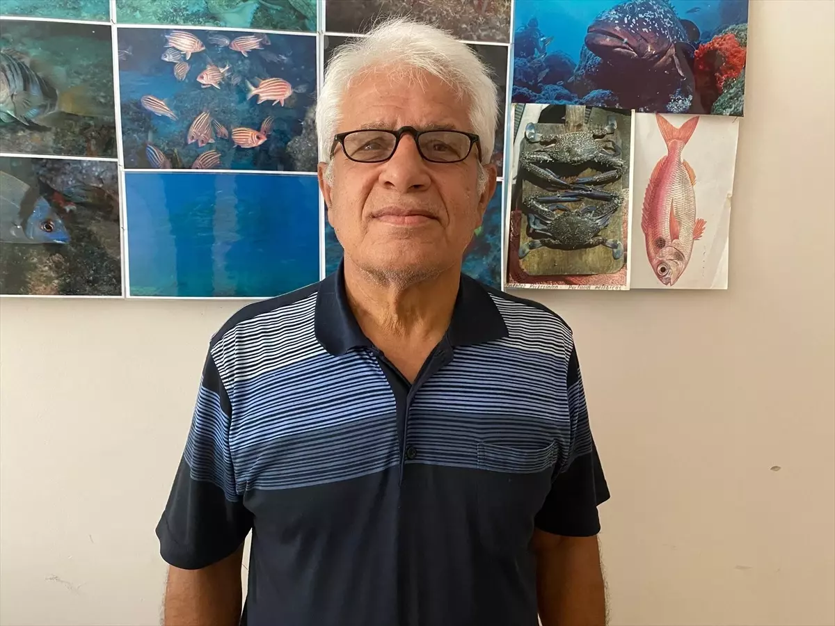 Prof. Dr. Mehmet Gökoğlu, Konyaaltı'nda 'Hayalet Ağ'ları Topladı