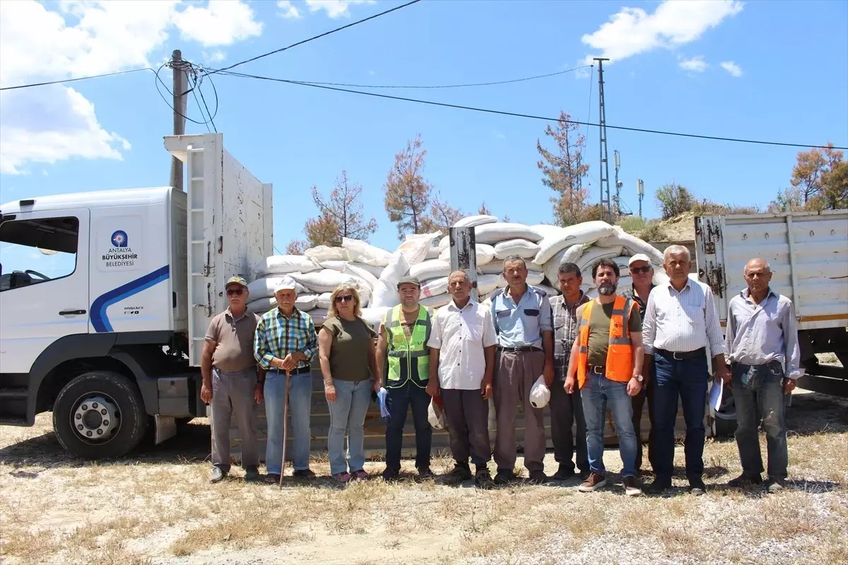 Antalya'daki Dolu Afeti Sonrası Çiftçilere Gübre Desteği