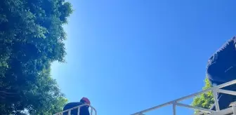 Antalya'da Dengesini Kaybeden Genç Adam Tentelere Düştü