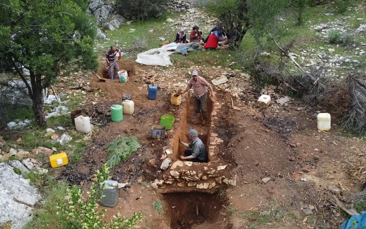 Antalya'da Geleneksel Sedir Katran Yağı Üretimi Devam Ediyor