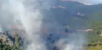 Antalya'da Orman Yangınına Hava ve Karadan Müdahele