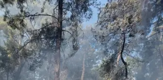 Antalya'da Orman Yangınları: Ekipler Havadan ve Karadan Müdahale Ediyor