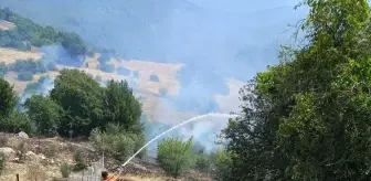 Antalya'da Orman Yangınına Hızla Müdahale Ediliyor