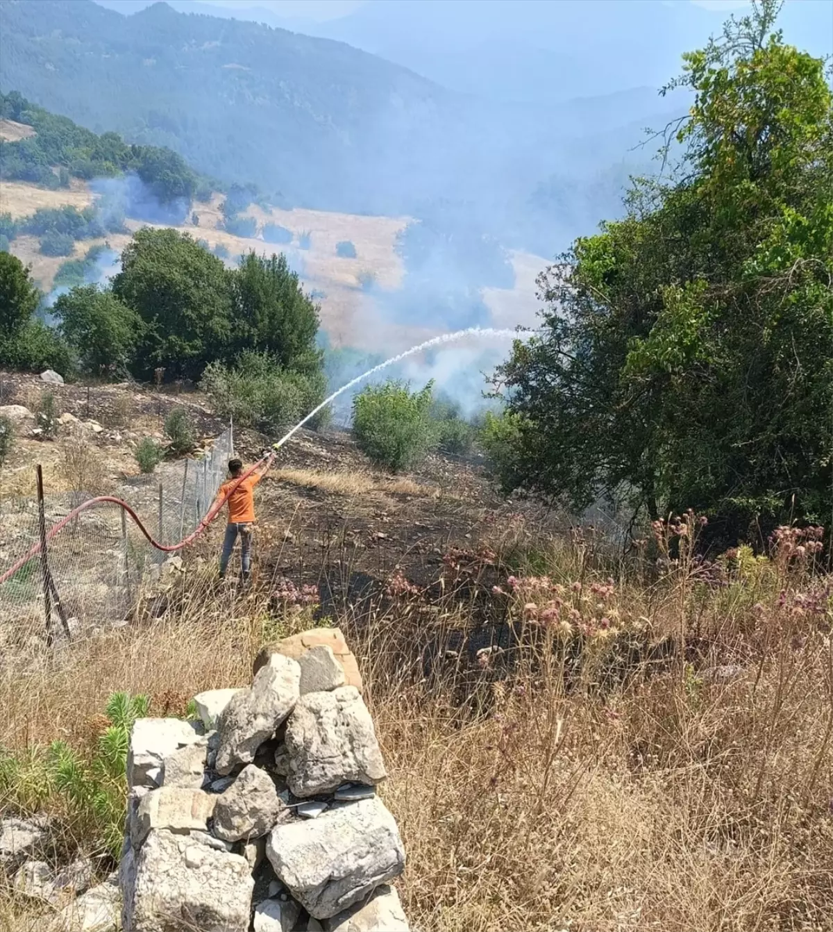 Antalya'da Orman Yangınına Hızla Müdahale Ediliyor