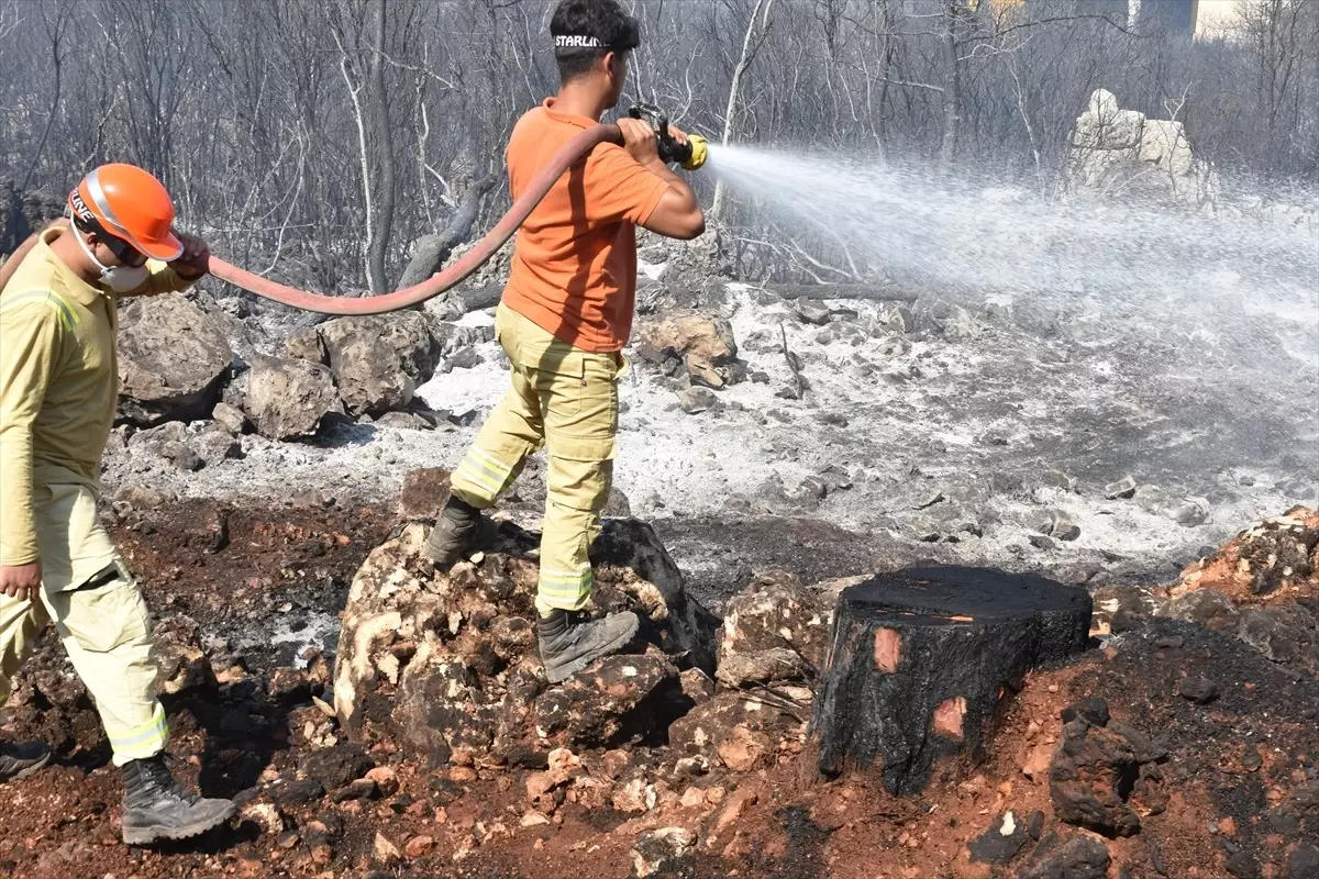 Antalya'da Orman Yangını Kontrol Altına Alındı