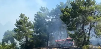 Antalya'nın Serik İlçesinde Orman Yangını Kontrol Altına Alındı