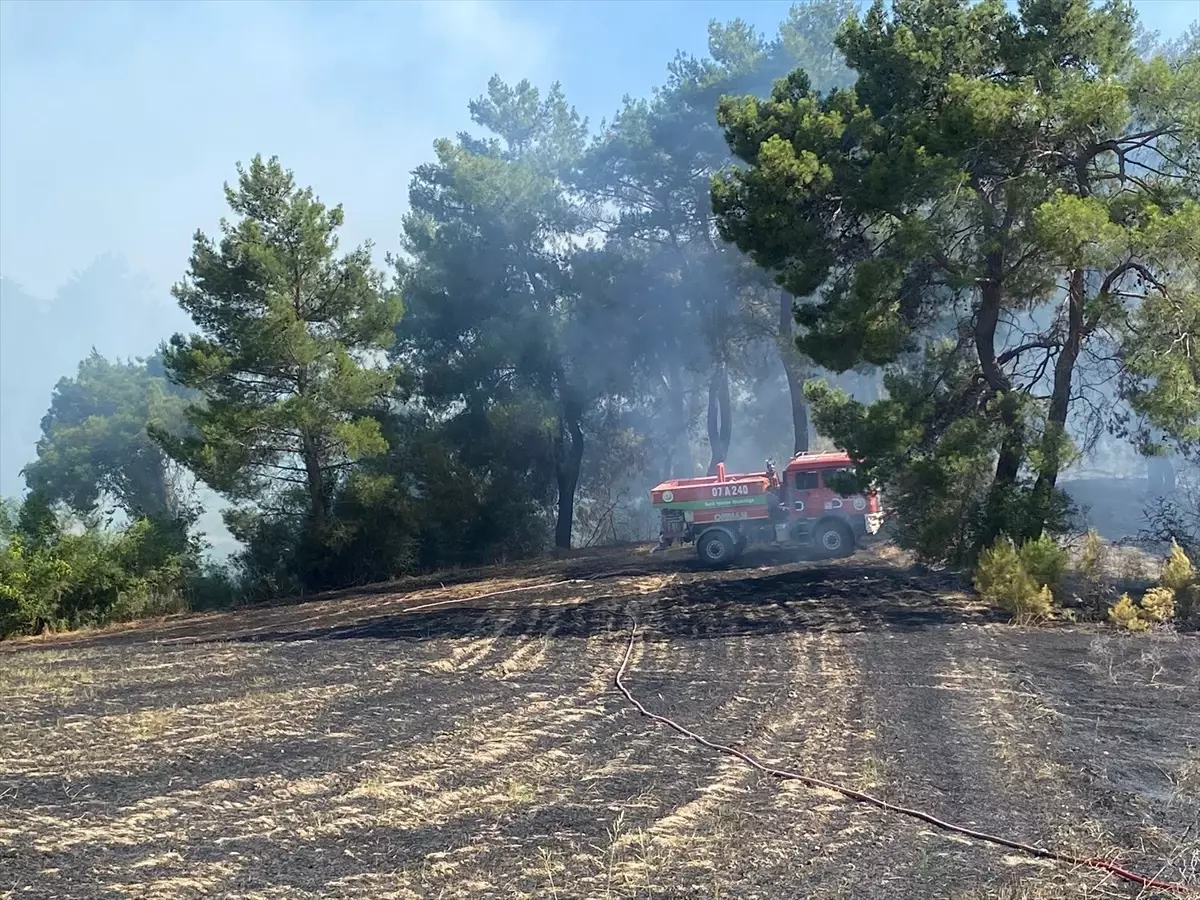 Antalya'nın Serik İlçesinde Orman Yangını Kontrol Altına Alındı