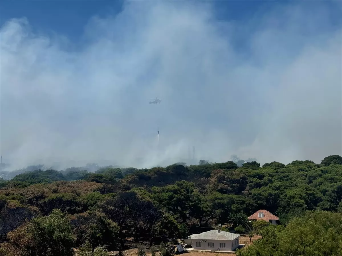 Antalya'da Orman Yangınına Hızla Müdahale Ediliyor