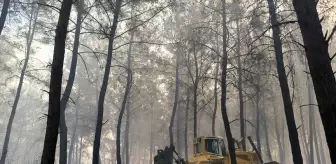 Antalya'da Orman Yangınlarına Hızla Müdahale Ediliyor