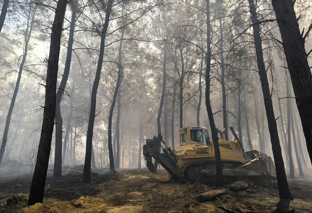 Antalya'da Orman Yangınlarına Hızla Müdahale Ediliyor