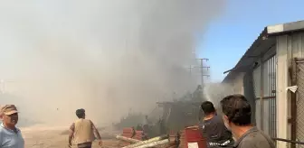 Antalya'nın Aksu İlçesinde Yangın Çıktı