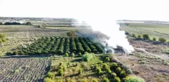 Antalya'da Yangınlar Kontrol Altına Alındı