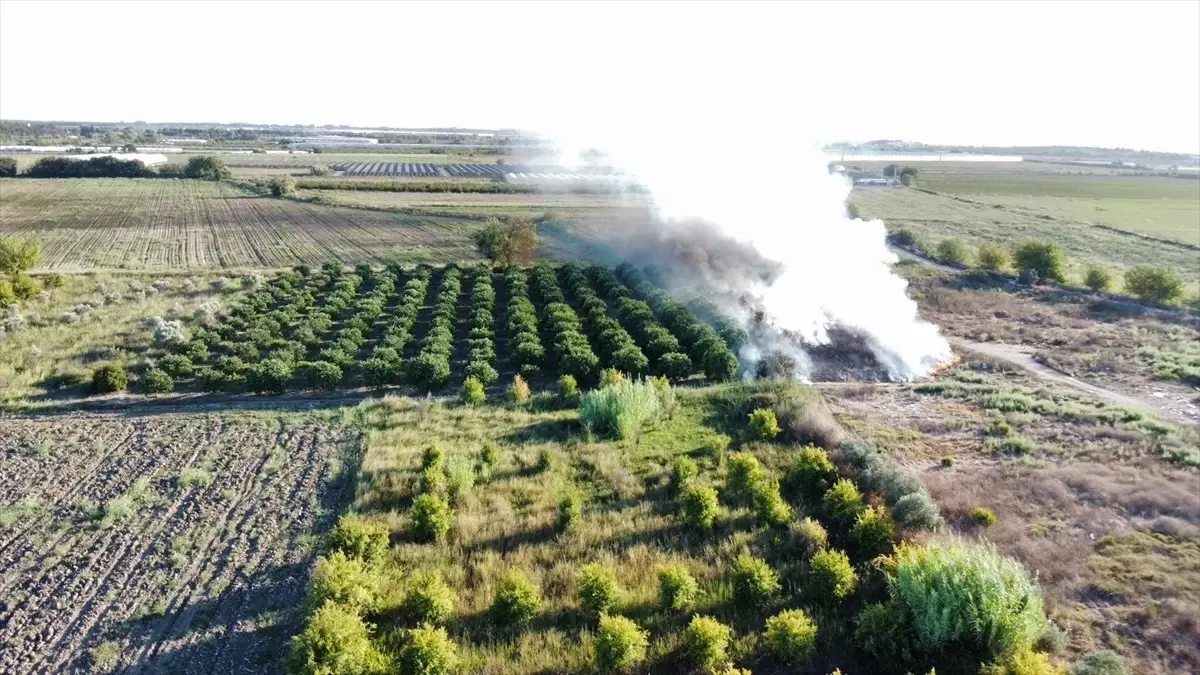 Antalya'da Yangınlar Kontrol Altına Alındı
