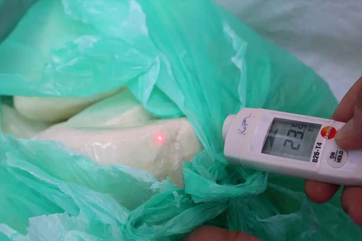 Antalya'da Uygunsuz Koşullarda Taşınan 700 Kilogram Peynir İmha Edildi