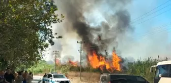 Manavgat'ta Sazlık Alanında Yangın Kontrol Altına Alındı