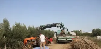 Antalya'da Traktör Kazası: Oto Elektrik Ustası Hayatını Kaybetti