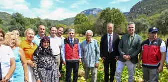 Camili Bal Kabağı Hasadı Yapıldı