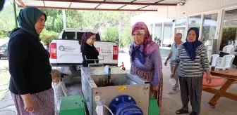 Antalya'da Üzüm Hasadı İçin Ücretsiz Sıkma Makinesi Desteği