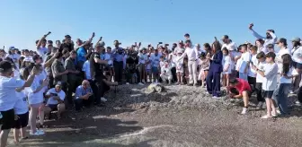 Antalya'da Caretta Caretta'lar Denize Bırakıldı