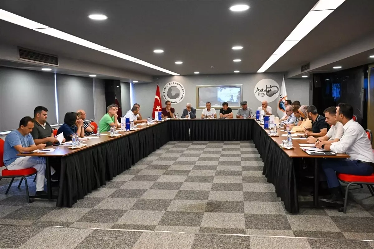 Zeytin Hasadı Öncesi Üretim Maliyetleri ve Rekolte Değerlendirildi