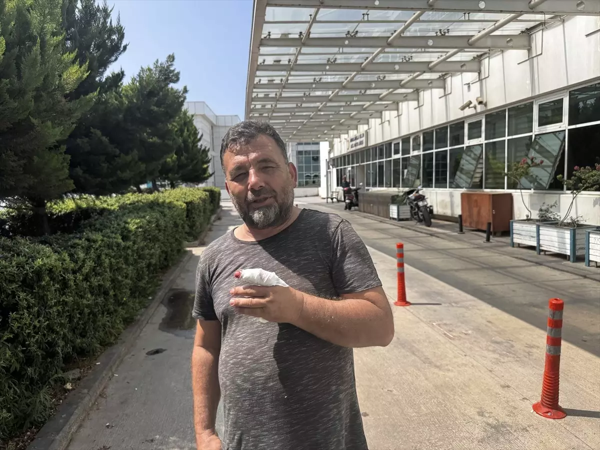 Kurban Kesimi Sırasında Yaralanmalar Artıyor