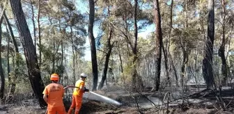 Antalya'da Orman Yangını: 5 Dekar Alan Zarar Gördü