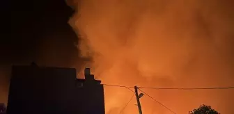 Alanya'da Orman Yangını: Mahalle Boşaltıldı