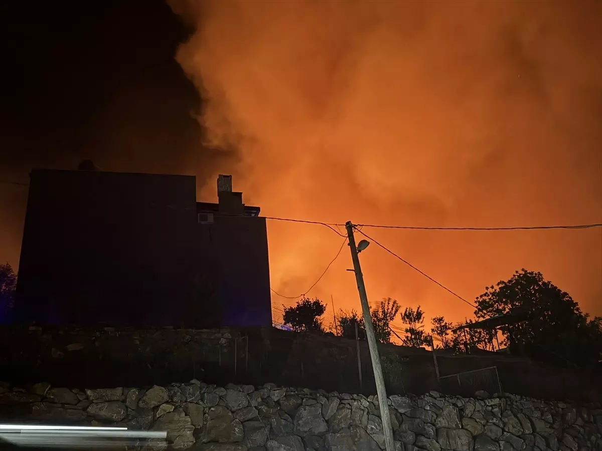 Alanya'da Orman Yangını: Mahalle Boşaltıldı