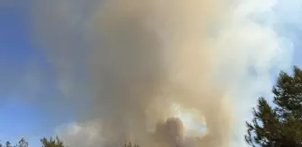Alanya'da Orman Yangınına Müdahale Devam Ediyor