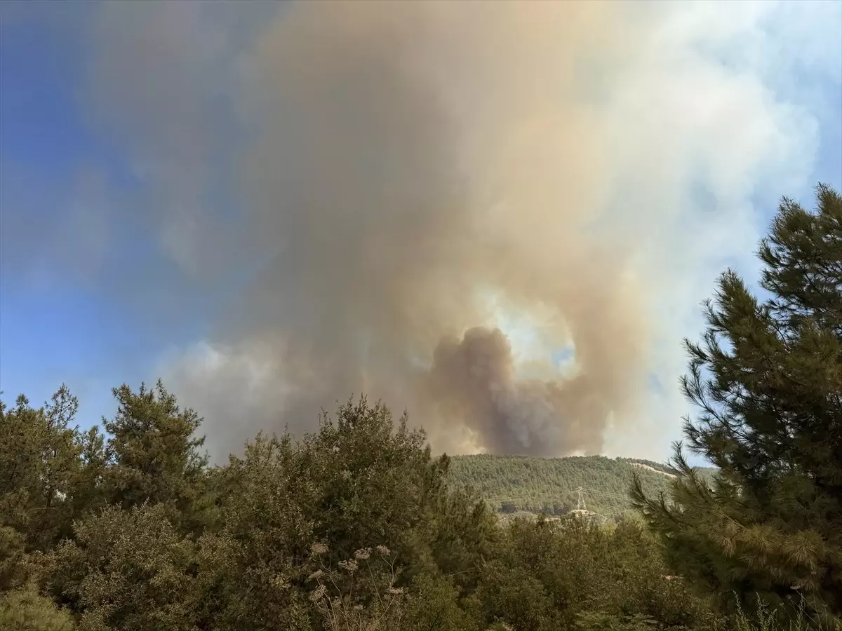 Alanya'da Orman Yangınına Müdahale Devam Ediyor